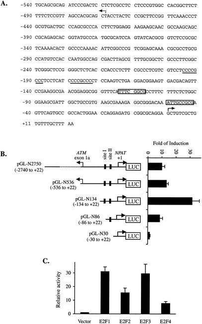 FIG. 2.