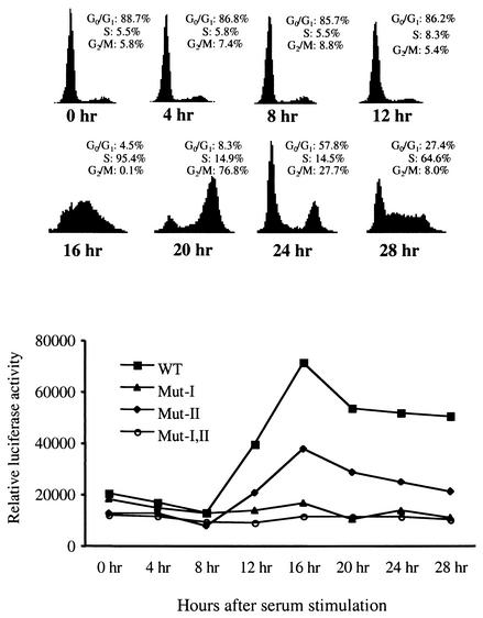 FIG. 6.