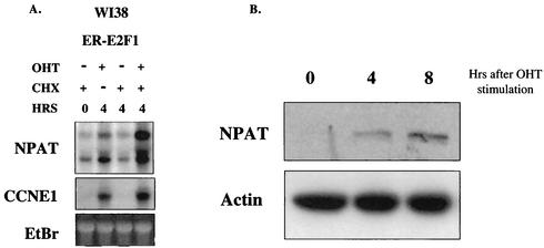 FIG. 5.