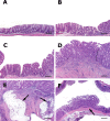 FIG. 3.