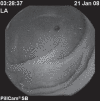 Figure 1)