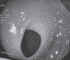 Figure 3)