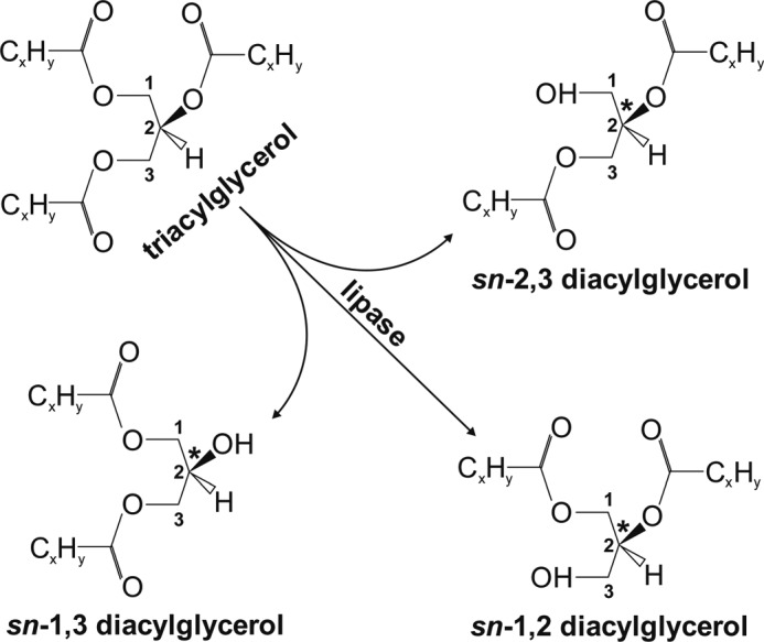 FIGURE 1.