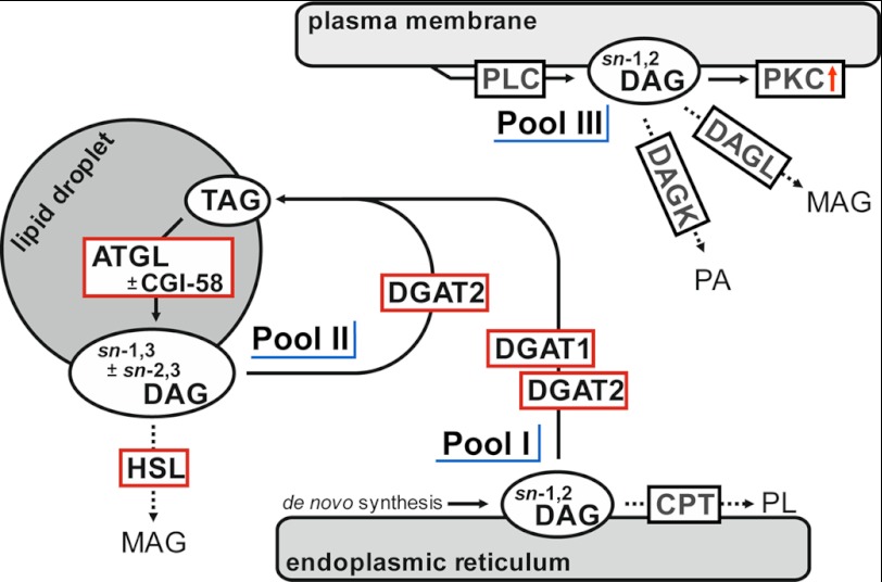 FIGURE 9.