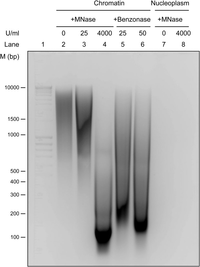 Fig. S1.