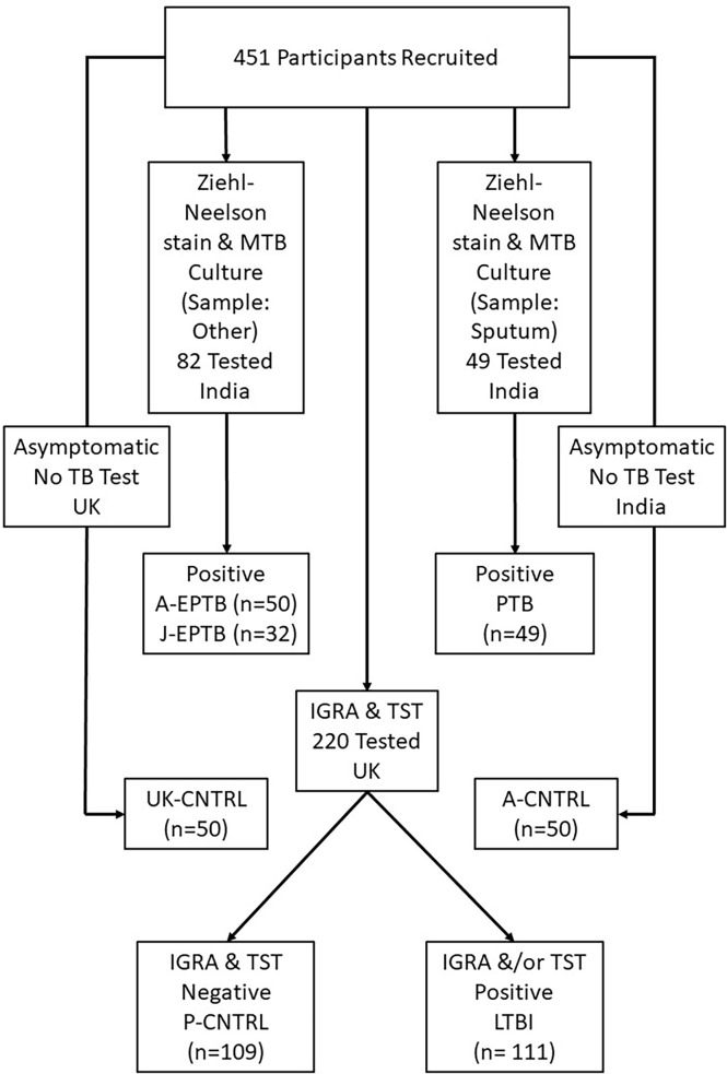 Figure 1