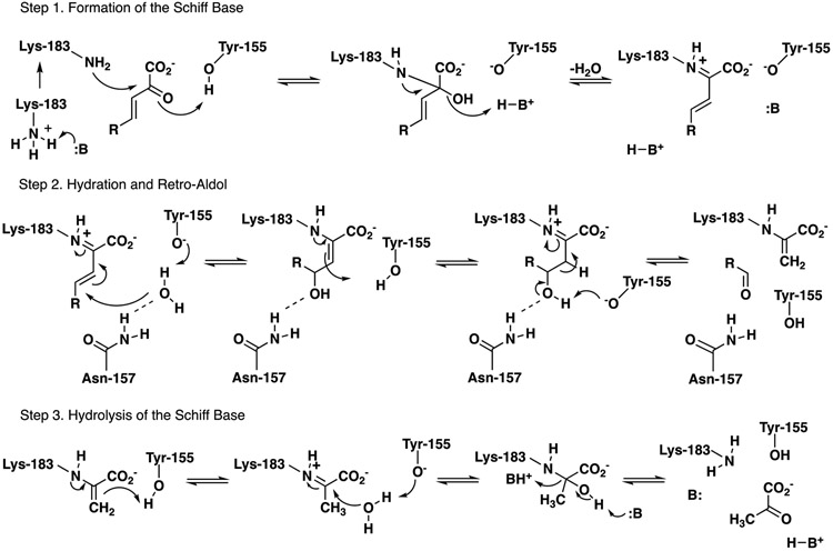 Scheme 3.