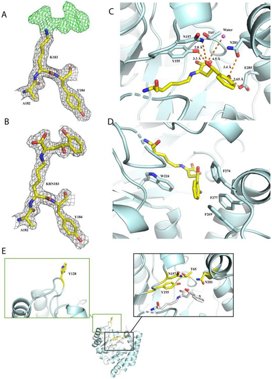 Figure 2.