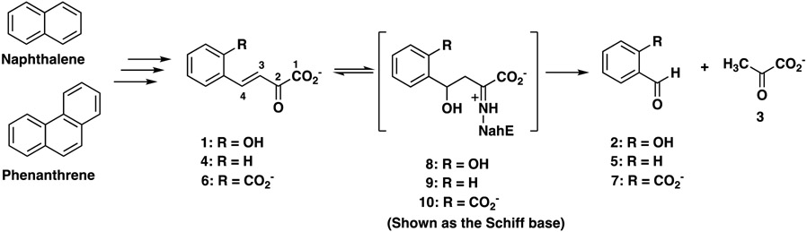 Scheme 1.