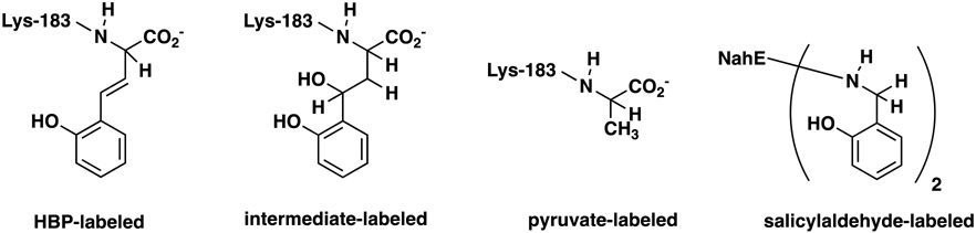 Scheme 2.