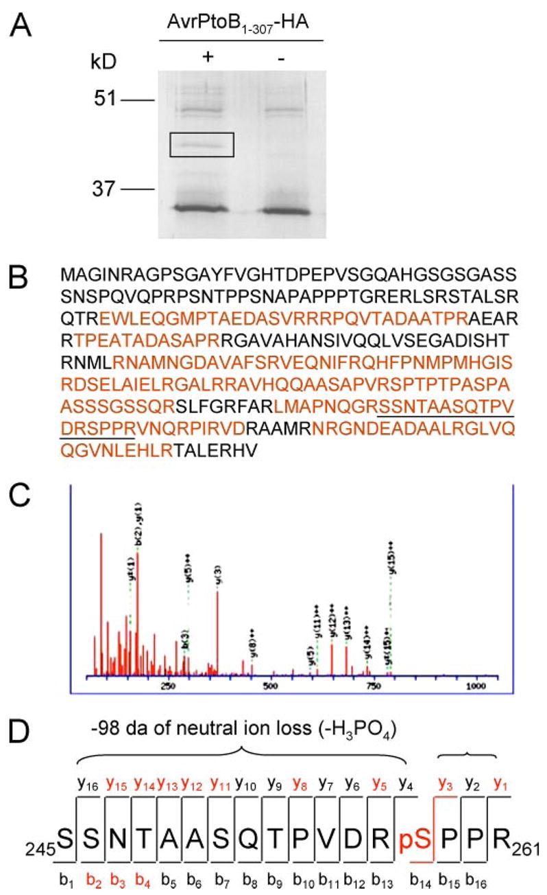 FIGURE 3