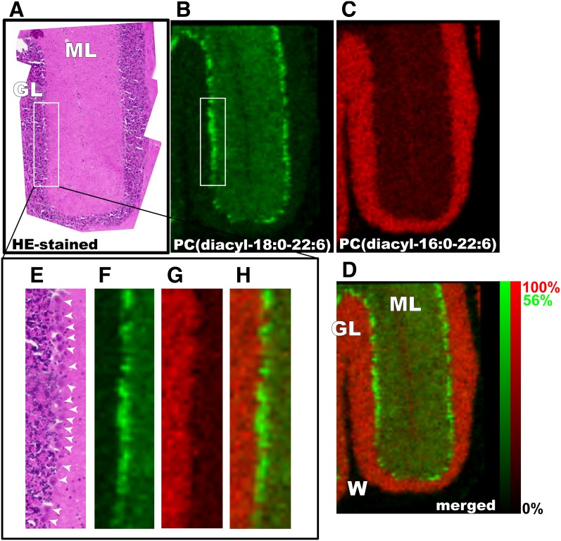 Fig. 6.