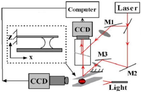 Figure 7.