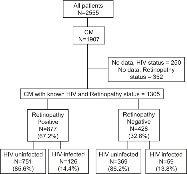 Figure 1