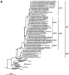 FIG.3.