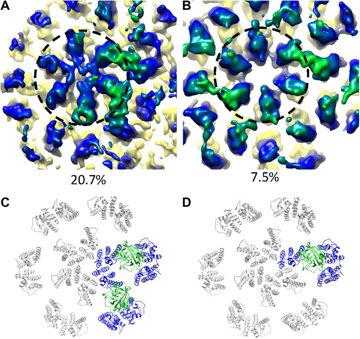 Fig. 6.