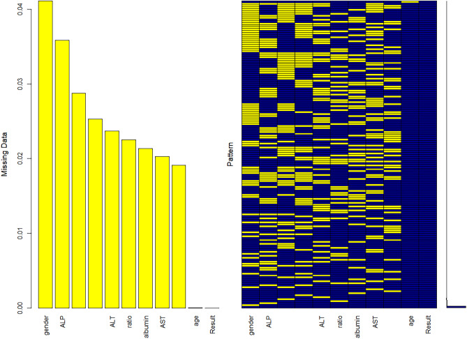 Fig. 21