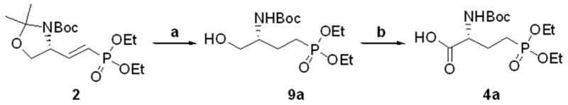 Scheme 4