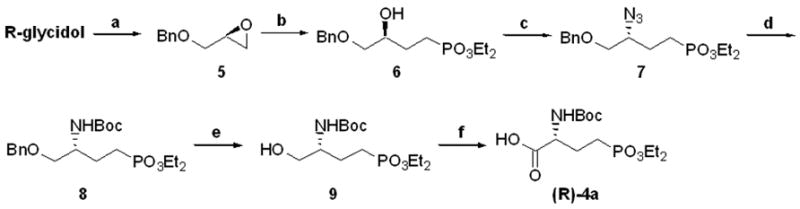 Scheme 2