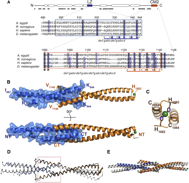 Figure 2