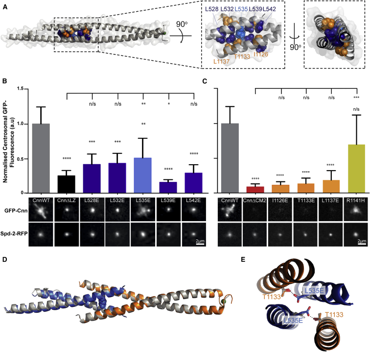 Figure 4