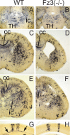 Figure 9.