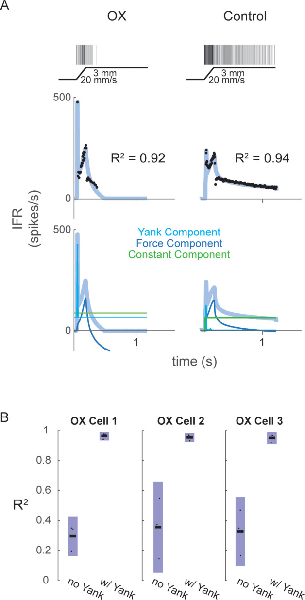 Figure 2—figure supplement 2.