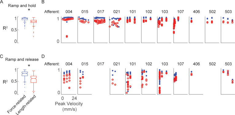 Figure 2—figure supplement 1.