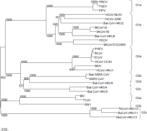 Figure 1.