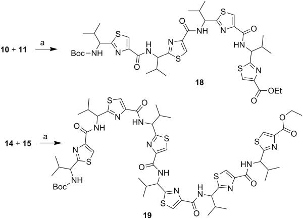 Scheme 4