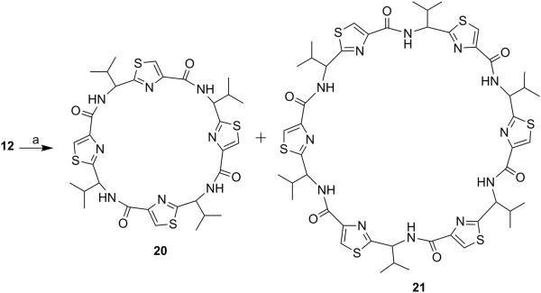 Scheme 5