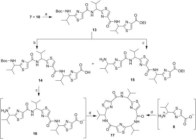 Scheme 3