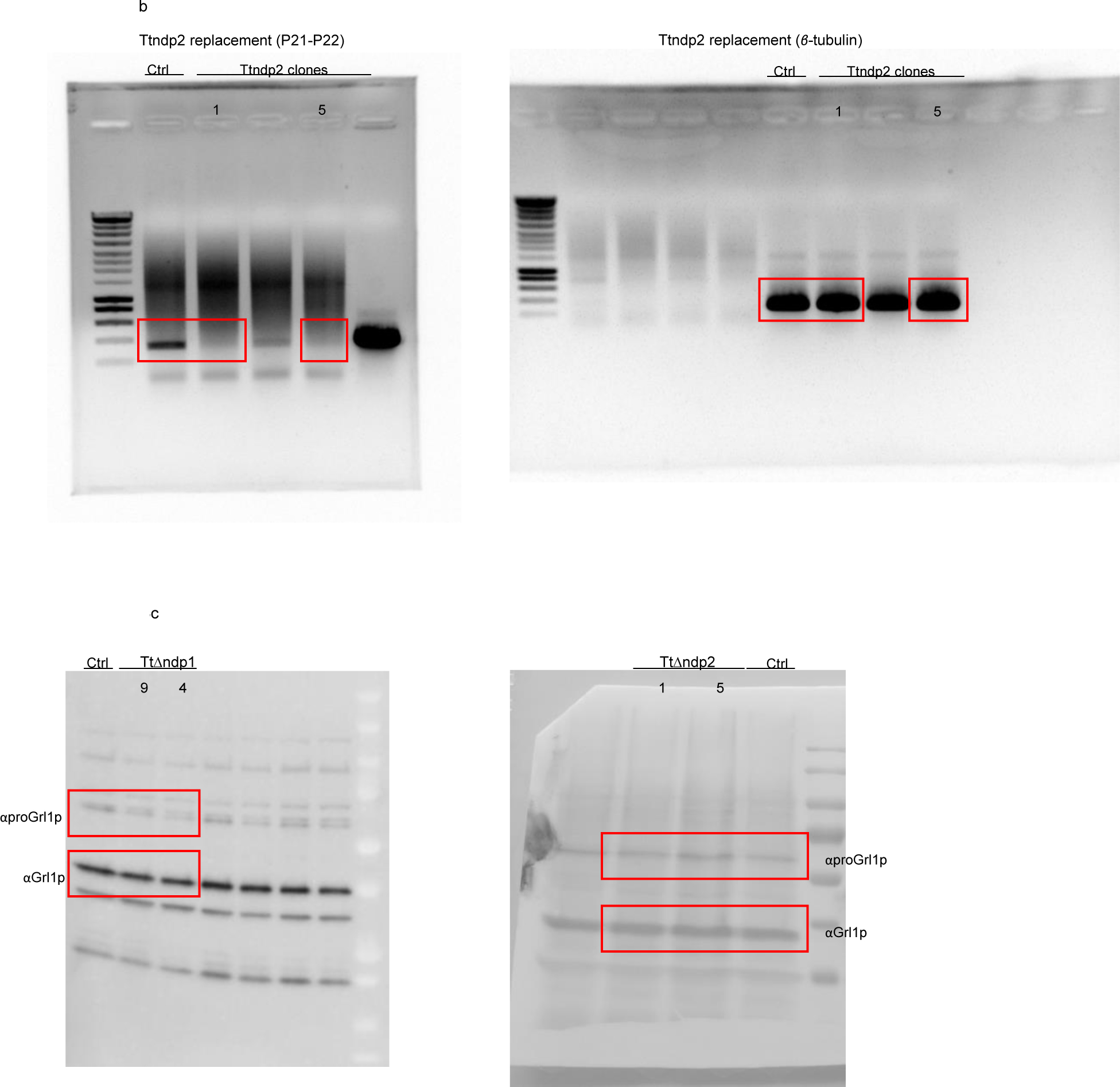 Extended Data Fig. 11 |