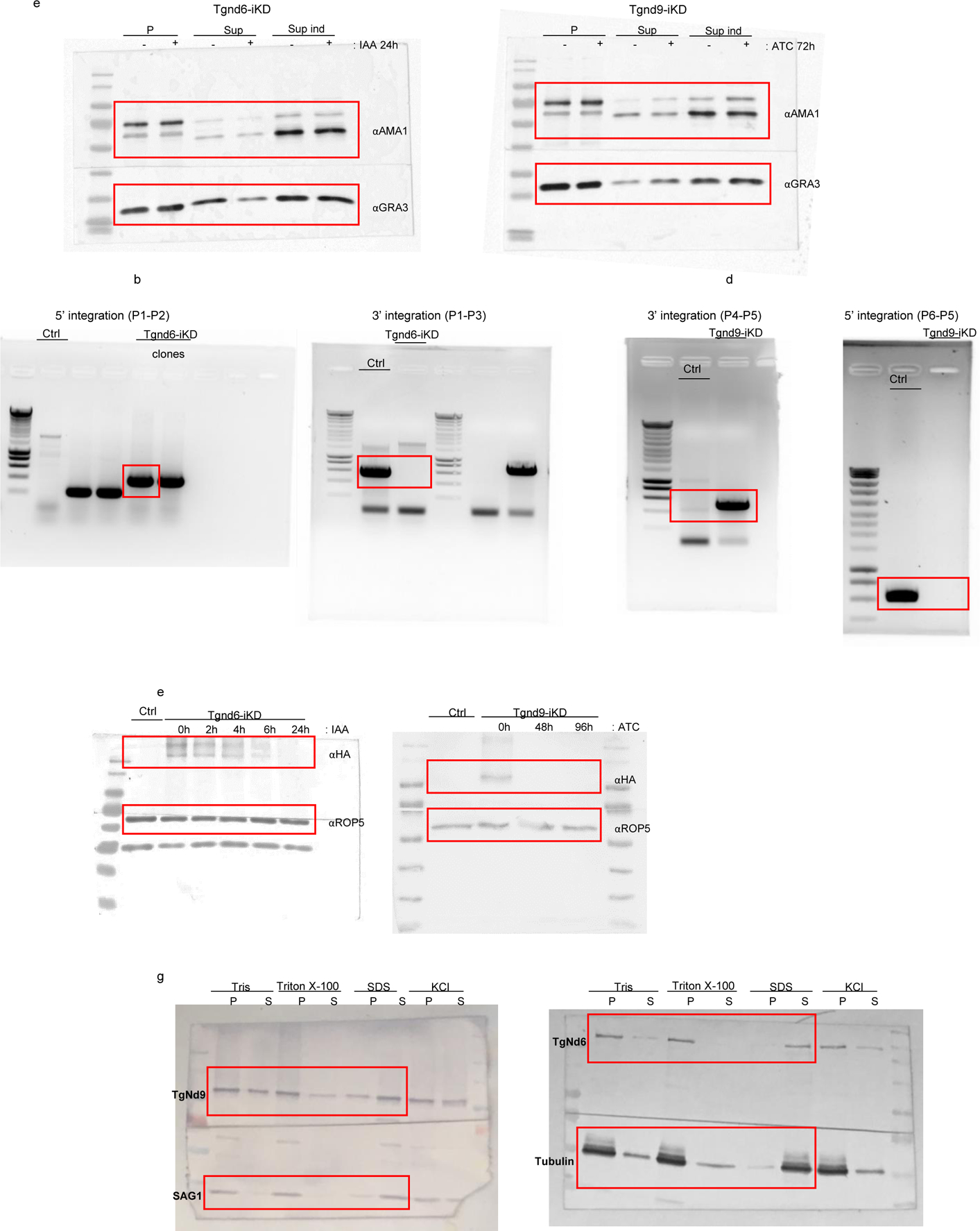 Extended Data Fig. 11 |