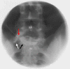 Fig. 7