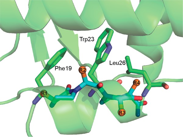 Figure 4