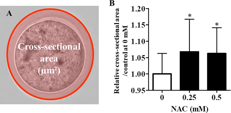 Fig 5