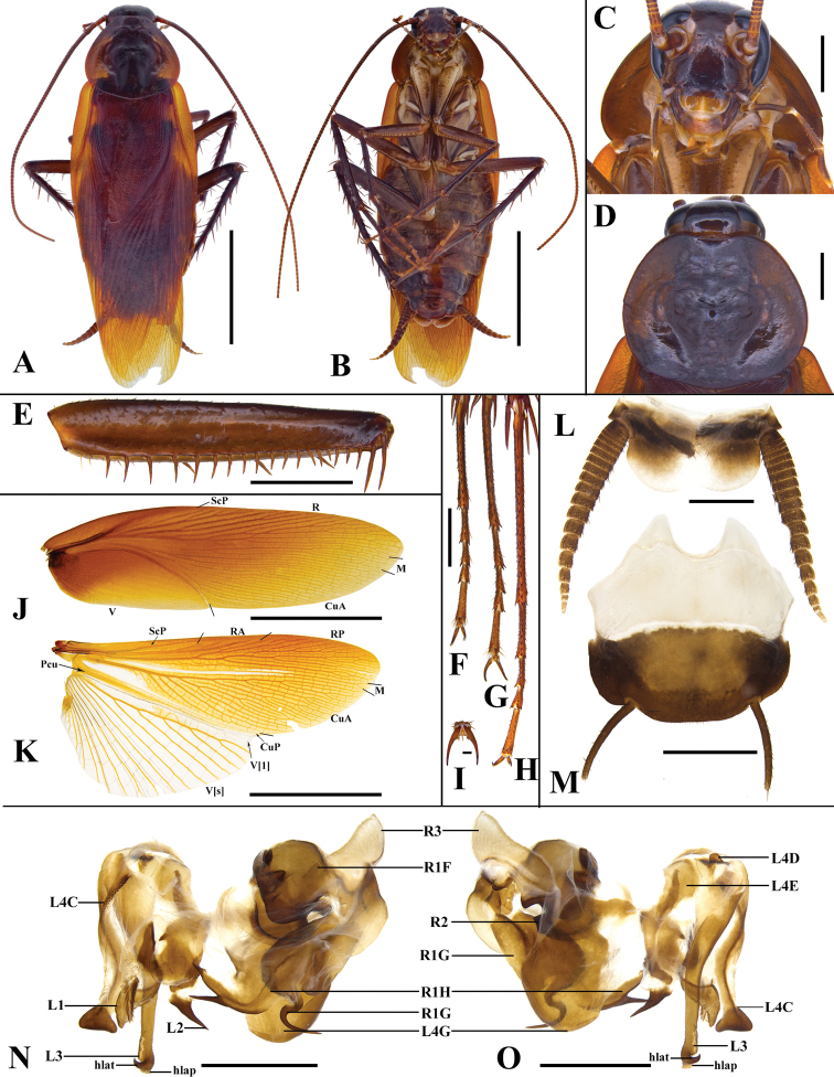 Figure 2.