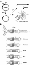 FIG. 2.