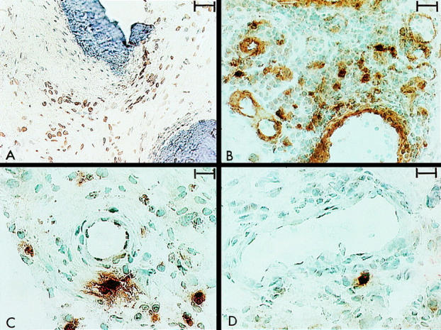 Figure 1  