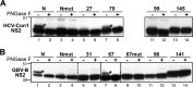 FIG 5