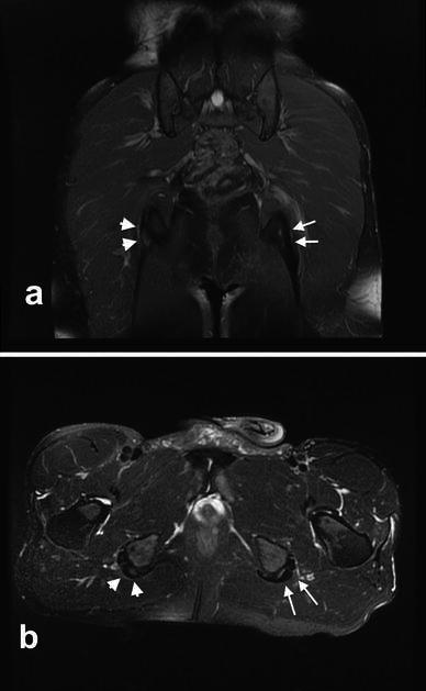 Fig. 5