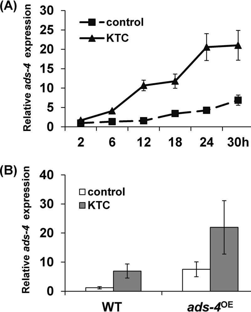 FIG 1