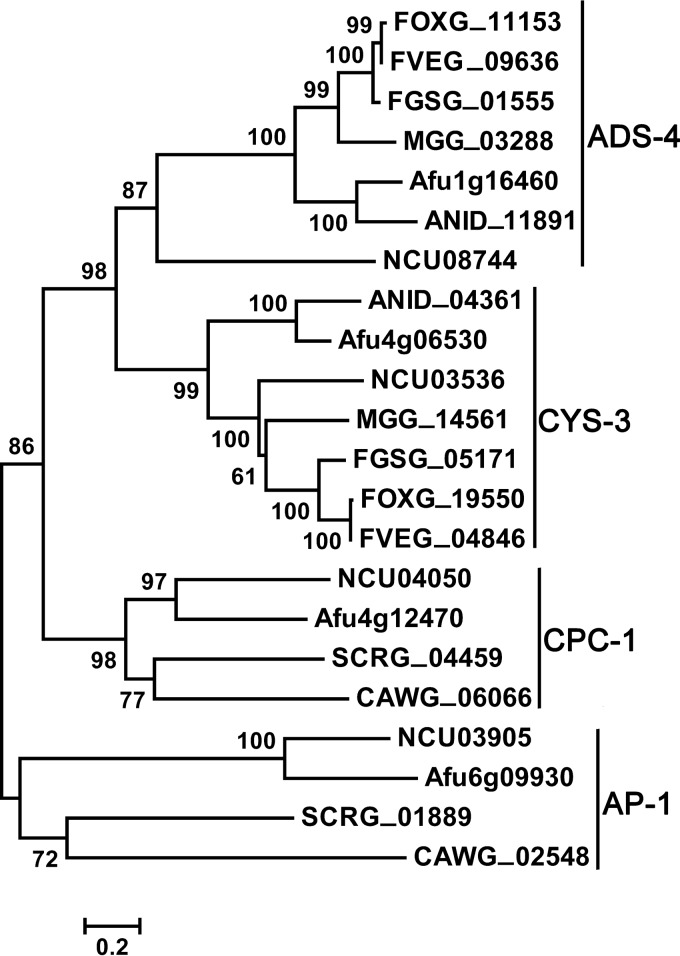 FIG 5