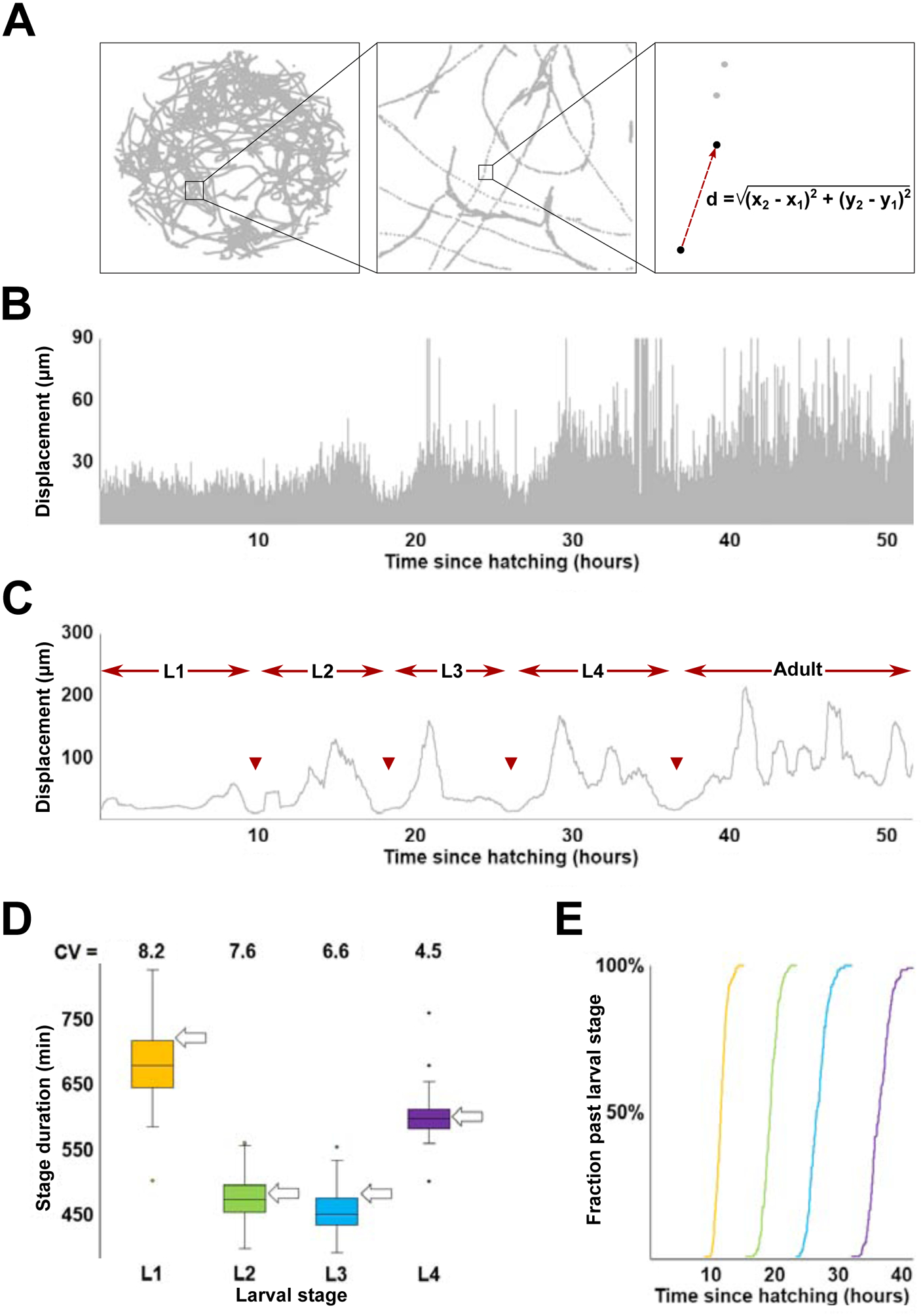 Figure 1.