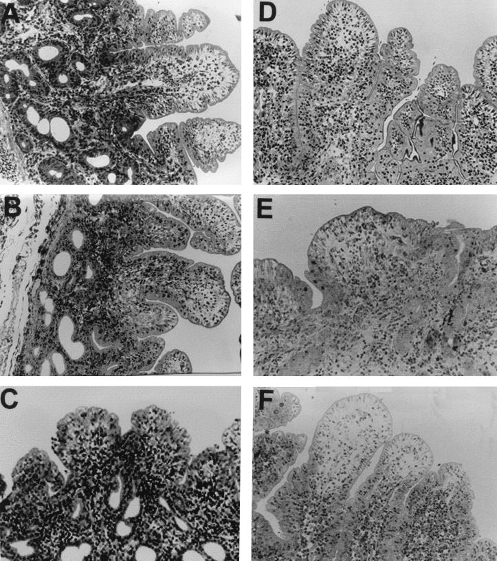 FIG. 7