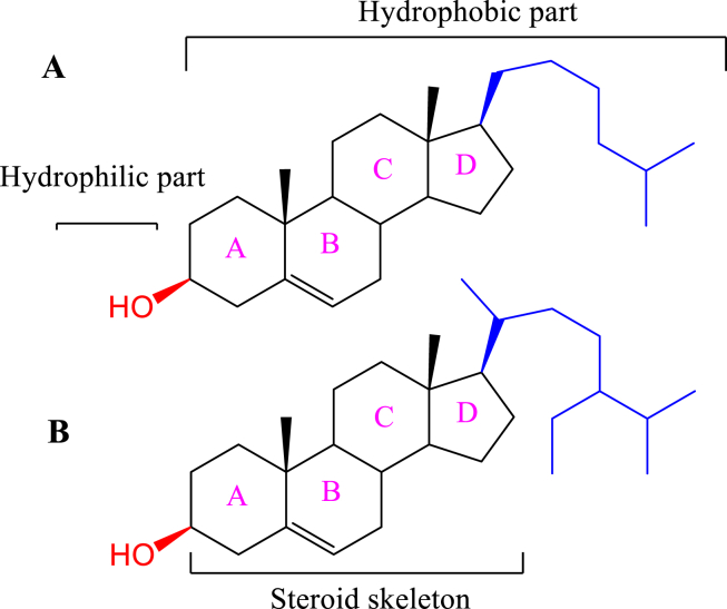 Figure 6