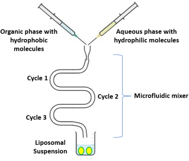 Figure 10