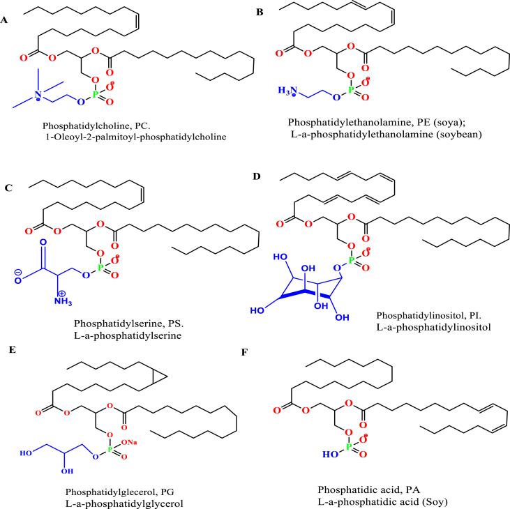 Figure 2