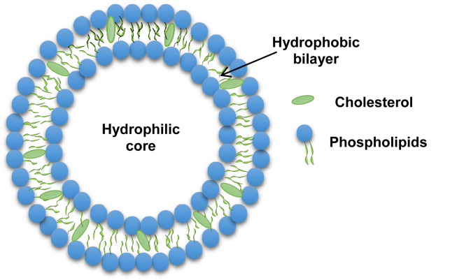 Figure 1